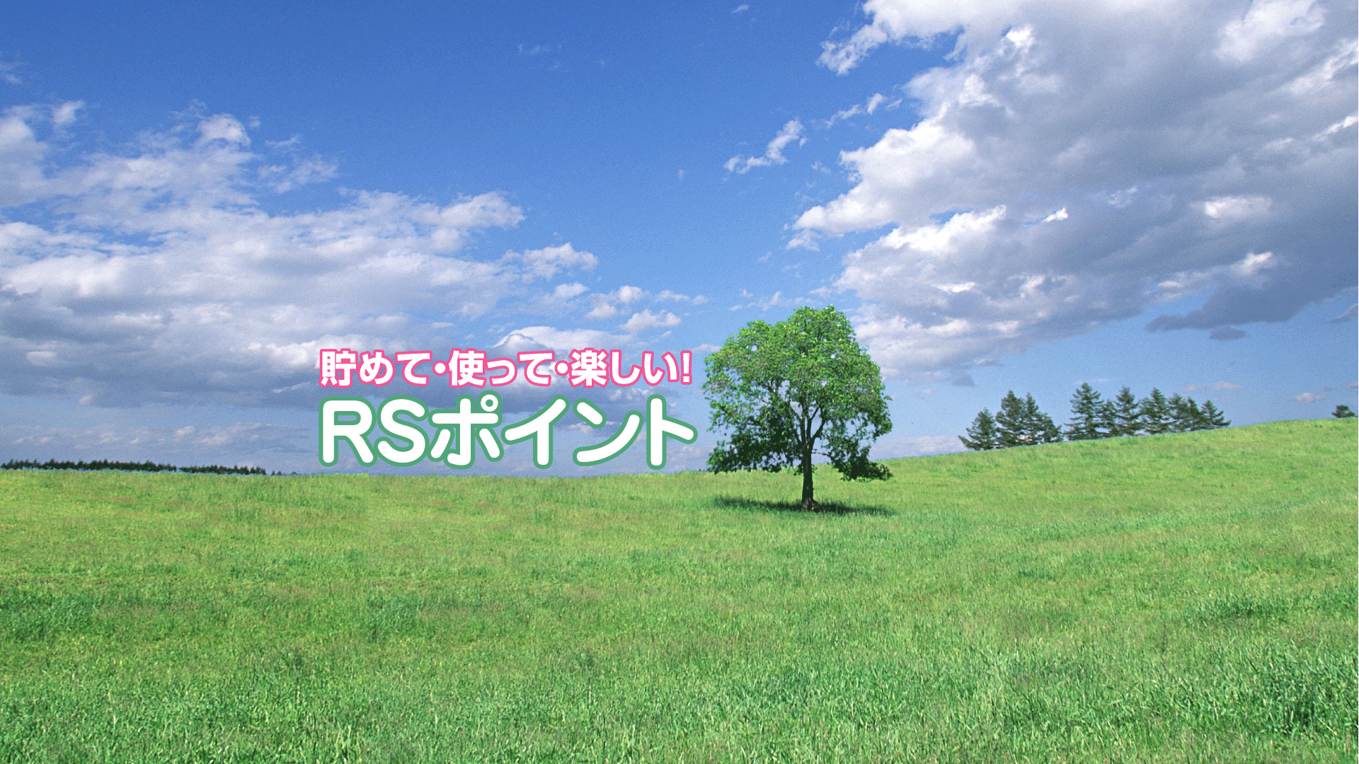 RSポイントカタログ